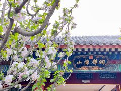 -颐和园