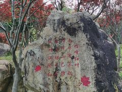 -广州市帽峰山景区