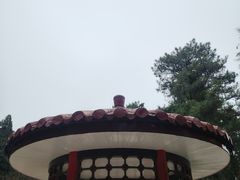 -庐山风景区花径公园