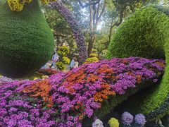 -杭州植物园
