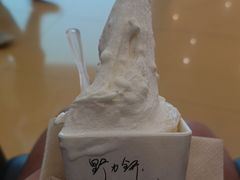 -野人先生Gelato(上海长宁龙之梦店)