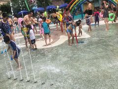 -苏州乐园森林水世界