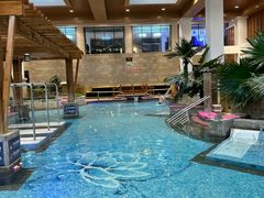 -齐河孔雀王温泉酒店·金孔雀自助百汇