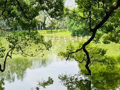 -中国科学院华南植物园