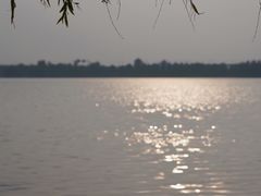 -丁香湖公园
