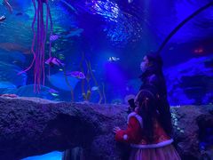 -沈阳海洋探索中心