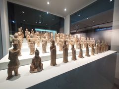 -安阳博物馆
