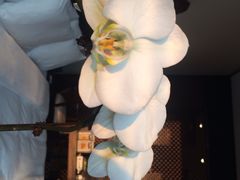 iphone_upload_pic-上海璞麗酒店