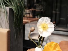 -大小咖啡 BigSmallCoffee(麦子店)