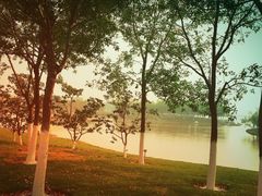 -武清南湖绿博园