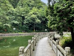 -四明山国家森林公园