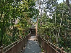 -西双版纳基诺山寨
