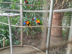 -大连森林动物园