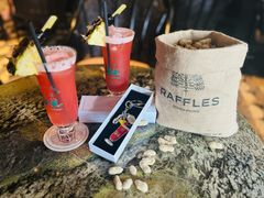 -Long Bar(莱佛士酒店)