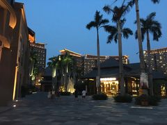 -三亚湾红树林度假世界(木棉酒店)