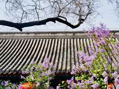 -玲珑塔公园