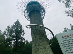 -黄海国家森林公园