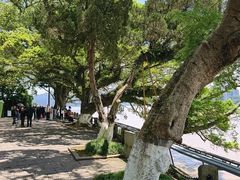 -江心屿景区