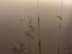-华夏良子·足道SPA艾灸(翠微店)