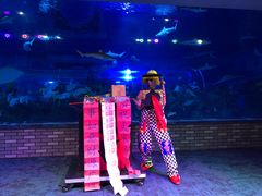 -成都浩海立方海洋公园