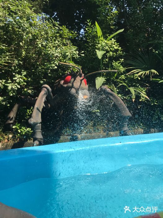 热带风暴水上乐园霹雳河图片