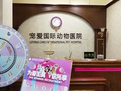 -宠爱国际动物医院· 猫科· 外科·中兽医(长白店)