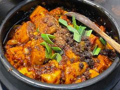 -陈麻婆豆腐(旗舰店)