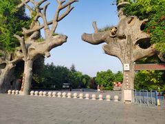 -禹州森林植物园