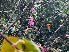 -小南山公园