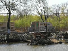 -哈尔滨大剧院