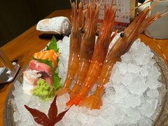 -月龍吟(朝龙汇店)