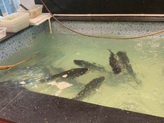 -苏浙徽·农家大院(开发区星湖101店)