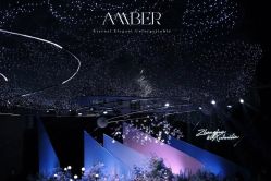 -琥珀婚礼策划AMBER WEDDING
