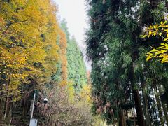-太阳湾风景区