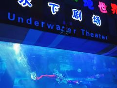 -泉城欧乐堡海洋极地世界
