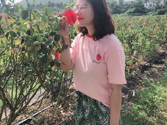-亚龙湾国际玫瑰谷