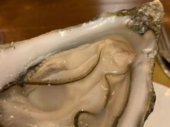 吉拉多-斯普汇生蚝牛排馆(中骏世界城店)