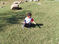 -前小桔亲子创意农场·草莓采摘·露营烧烤