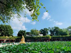 -宝墨园景区