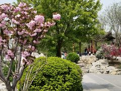 -南普公园