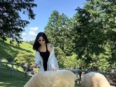 -神户市立六甲山牧场