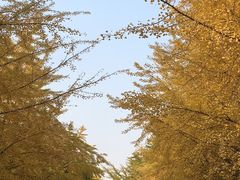 -辽宁大学(崇山校区)