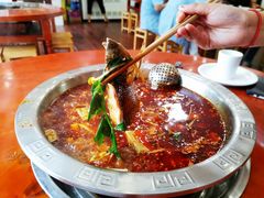 火锅鱼-刘胖娃鱼庄·特色肥肠鱼(杨家坪店)