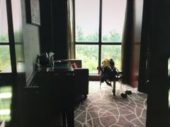 picture-常州环球恐龙城维景国际大酒店