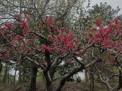 -元大都城垣遗址公园