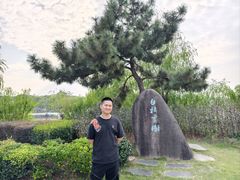 -八大山人梅湖景区