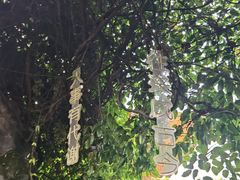 -横店影视城梦幻谷园区