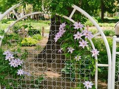 -国家植物园南园