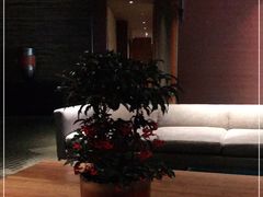 -上海外滩茂悦大酒店