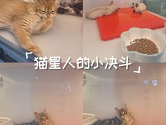 -万达广场(北京槐房店)